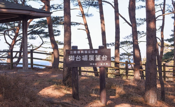 淨土之濱巴士