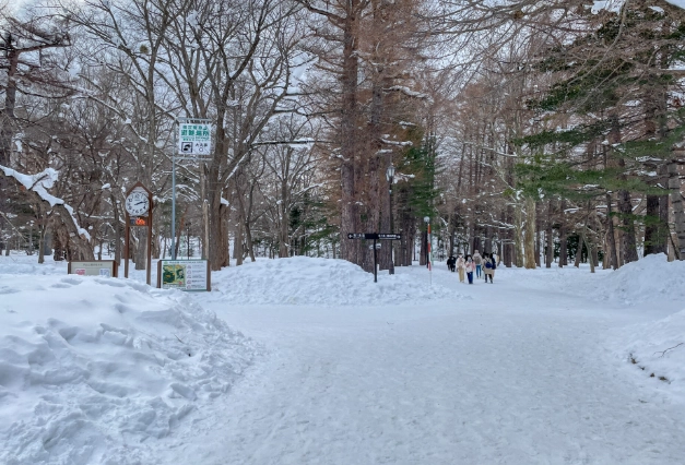 圓山公園雪景 圓山公園雪景
