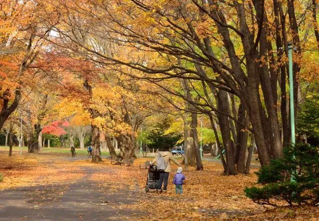 札幌圓山公園 紅葉 札幌圓山公園 紅葉