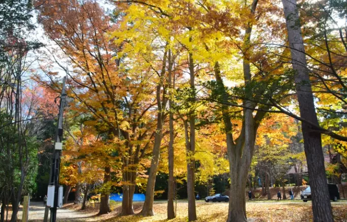 北海道紅葉景點 北海道紅葉景點