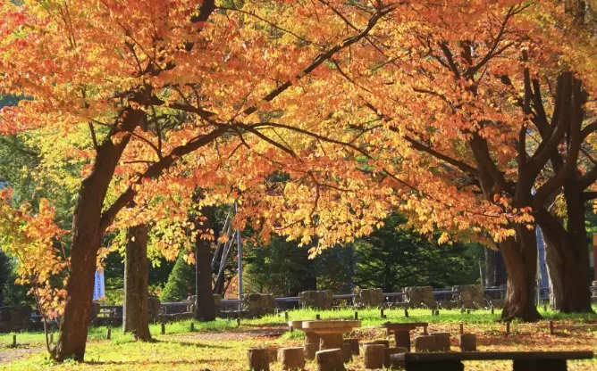 北海道紅葉景點 北海道紅葉景點