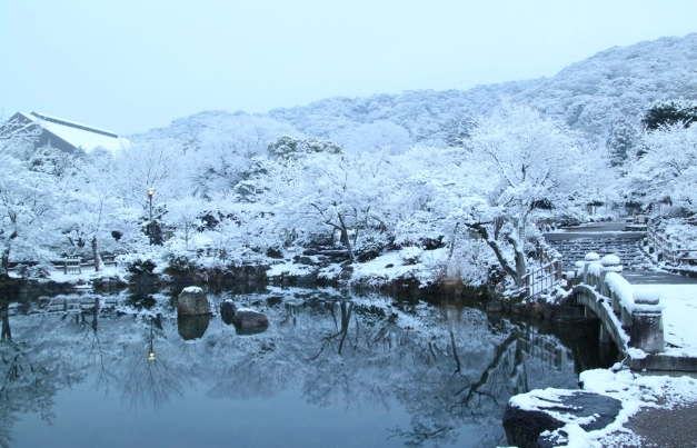 北海道冬天旅遊 北海道冬天旅遊