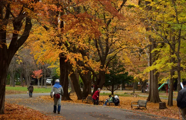 圓山公園公車 圓山公園公車