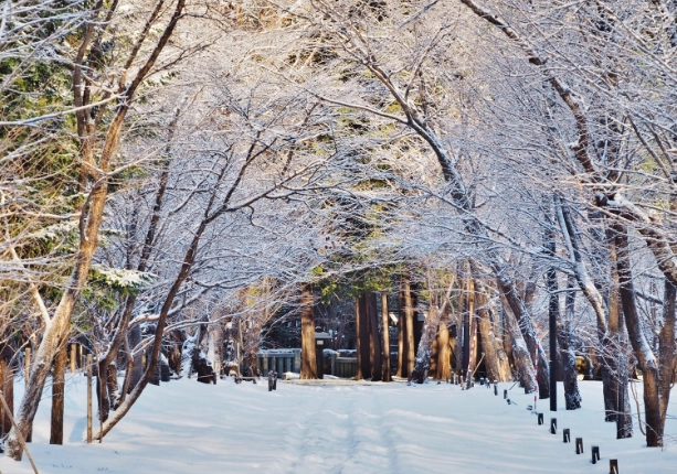 北海道冬天旅遊 北海道冬天旅遊