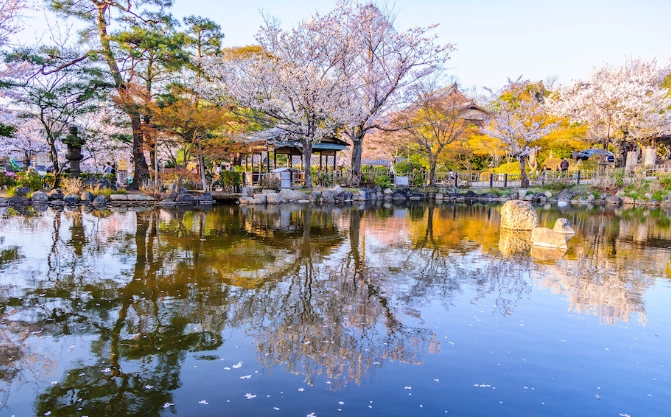 圓山公園公車 圓山公園公車