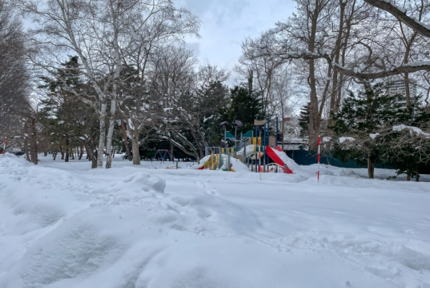 圓山公園雪景 圓山公園雪景