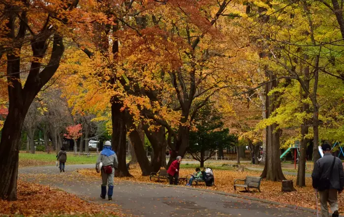 札幌圓山公園 紅葉 札幌圓山公園 紅葉