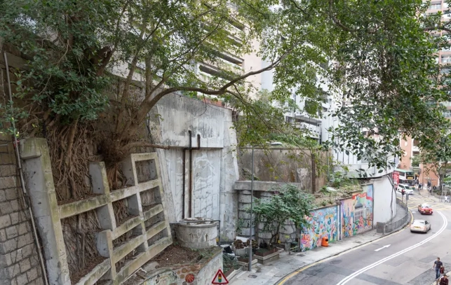 香港九龍必去景點 香港九龍必去景點
