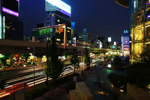 六本木夜生活
