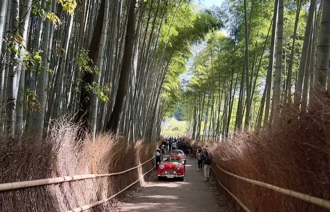 嵐山文化景點 嵐山文化景點