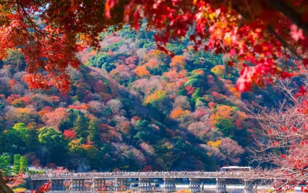 嵐山景點 嵐山景點