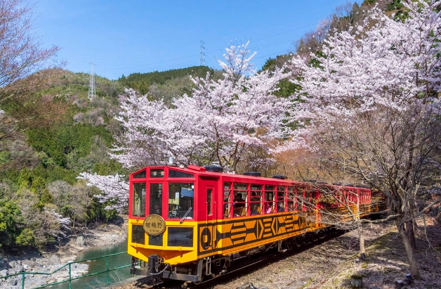 嵐山景點 嵐山景點