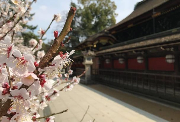 京都梅花祭 京都梅花祭