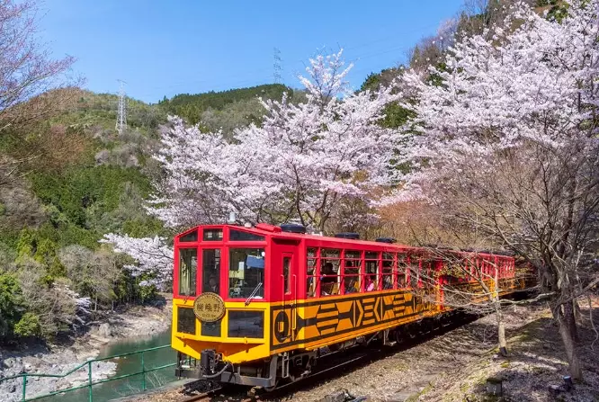 嵐山一日遊路線 嵐山一日遊路線
