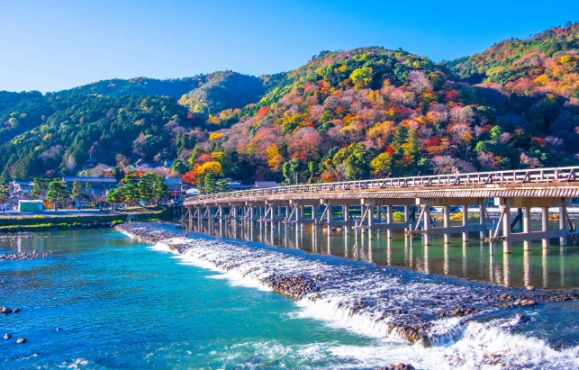 嵐山交通 嵐山交通
