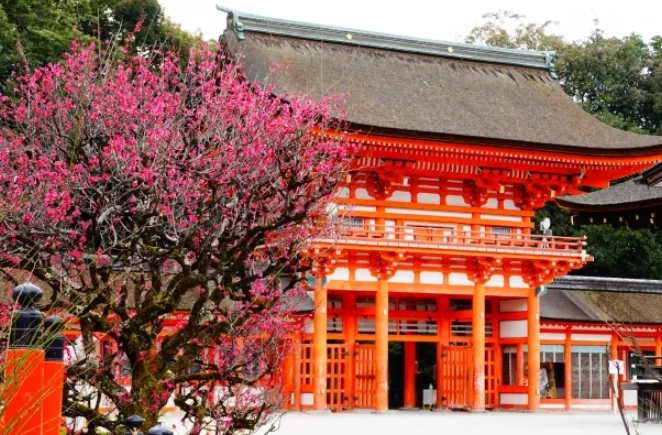 京都冬季旅遊 京都冬季旅遊