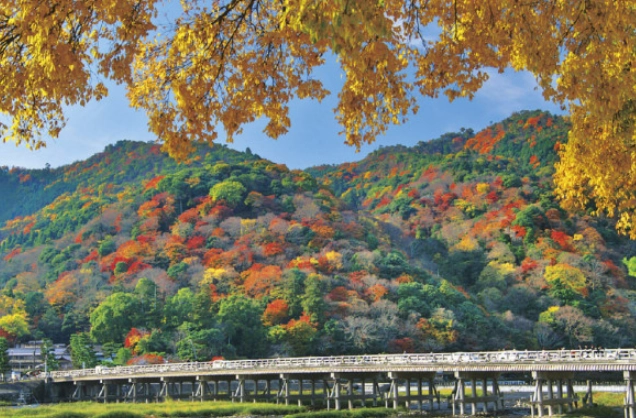 嵐山景點 嵐山景點