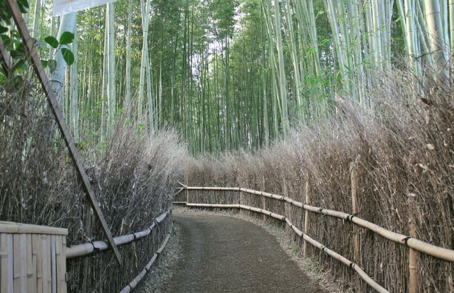 嵐山半日遊 嵐山半日遊