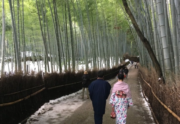 嵐山半日遊 嵐山半日遊