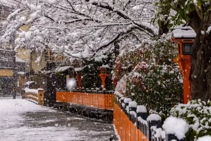 京都冬季旅遊 京都冬季旅遊