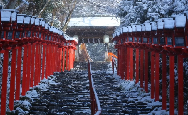 京都梅花祭 京都梅花祭