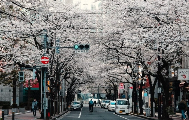 東京安全區域 東京安全區域
