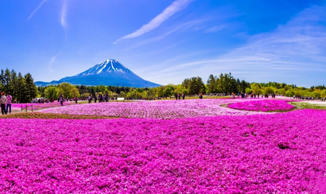 日本旅遊淡季 日本旅遊淡季