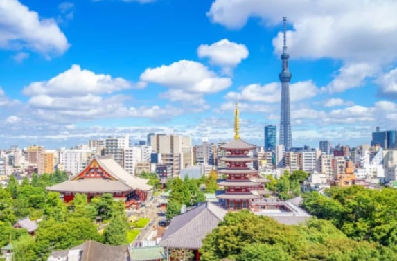 東京安全區域 東京安全區域