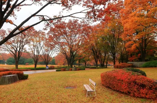 淡季日本旅遊 淡季日本旅遊