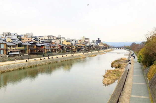跳烏龜過河 跳烏龜過河