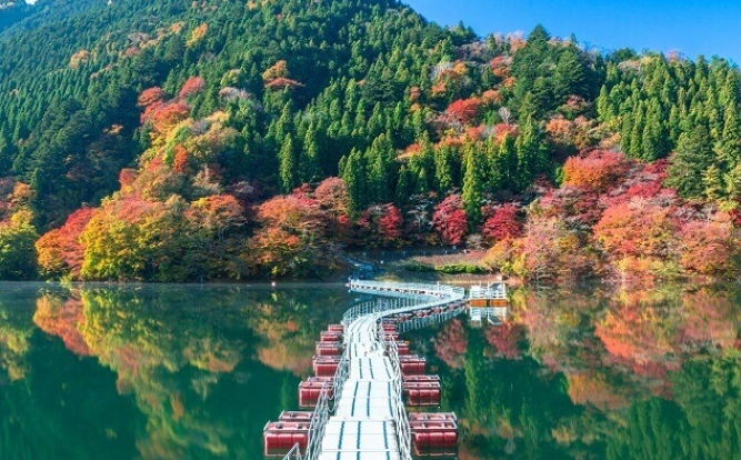 日本自由行 日本自由行