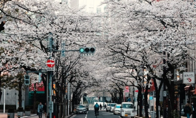 東京危險區域 東京危險區域