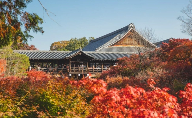 日本四季旅遊 日本四季旅遊