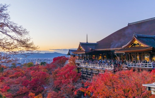 京都短時間旅遊 京都短時間旅遊
