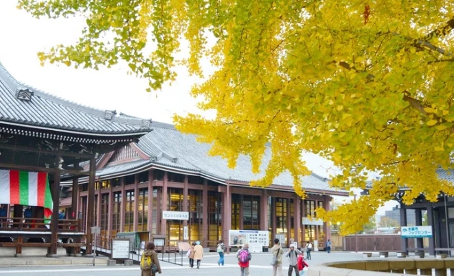 京都半日遊 京都半日遊