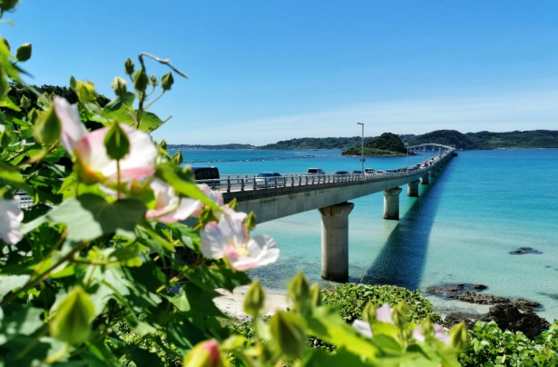 日本旅行最佳時間 日本旅行最佳時間