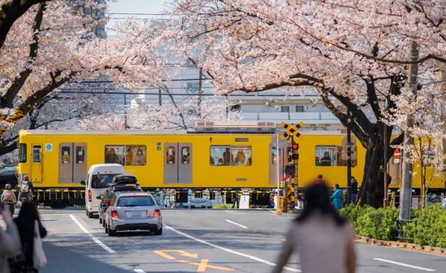 東京居住區域比較 東京居住區域比較