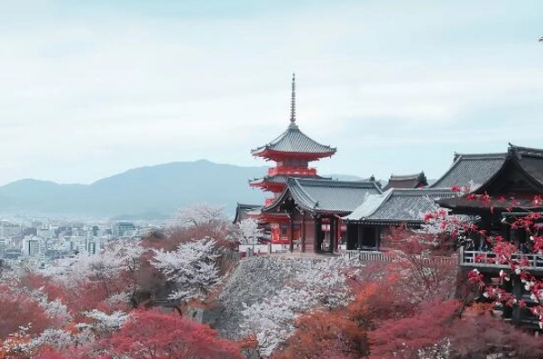 京都旅游攻略 京都旅游攻略