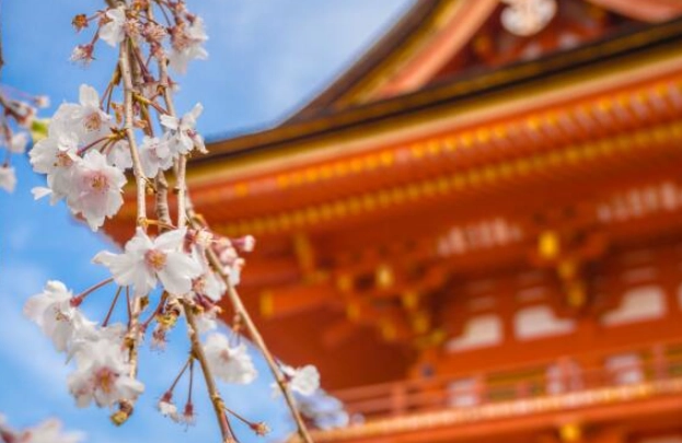京都必去景点 京都必去景点