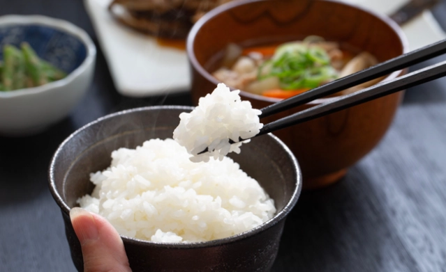 好消化食物 好消化食物