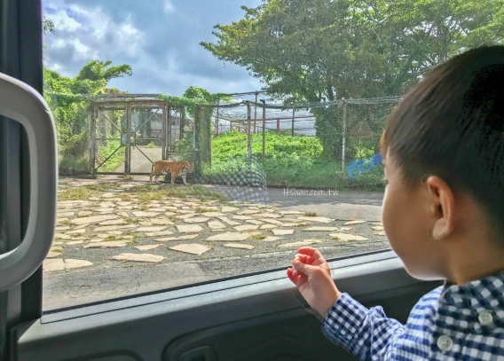 鹿兒島親子景點 鹿兒島親子景點