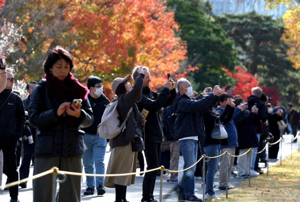 皇居開放時間 皇居開放時間