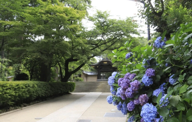 鎌倉隱藏景點 鎌倉隱藏景點