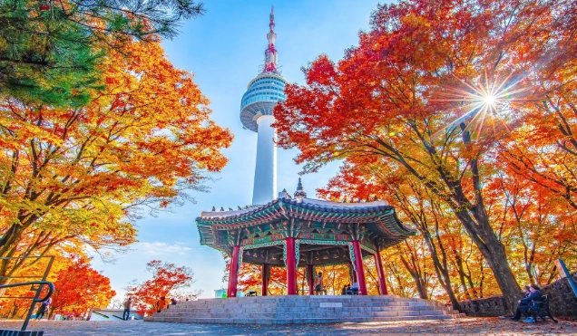 南山塔門票 南山塔門票