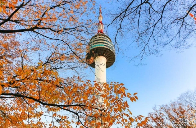南山塔附近旅遊 南山塔附近旅遊