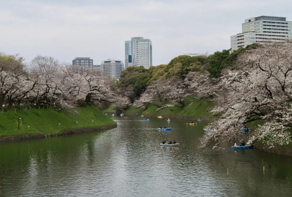 皇居參觀 皇居參觀