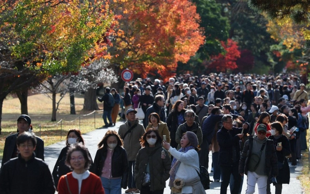 皇居參觀 皇居參觀
