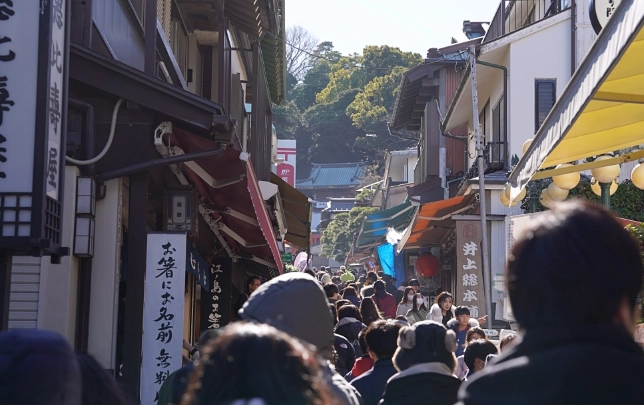 鎌倉交通 鎌倉交通