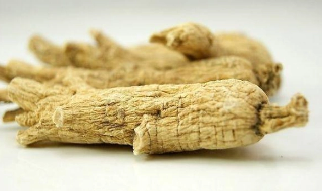 花旗蔘怎麼吃 花旗蔘怎麼吃