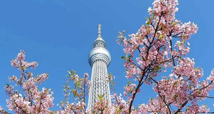 晴空塔拍照 晴空塔拍照